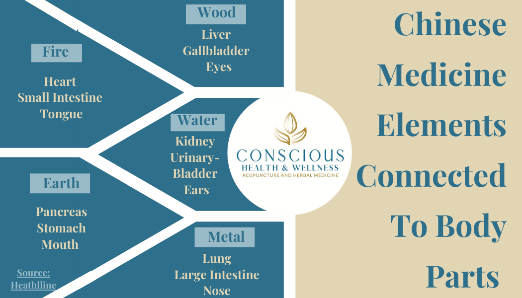 Elemental Insights: The Body’s Organ Connection